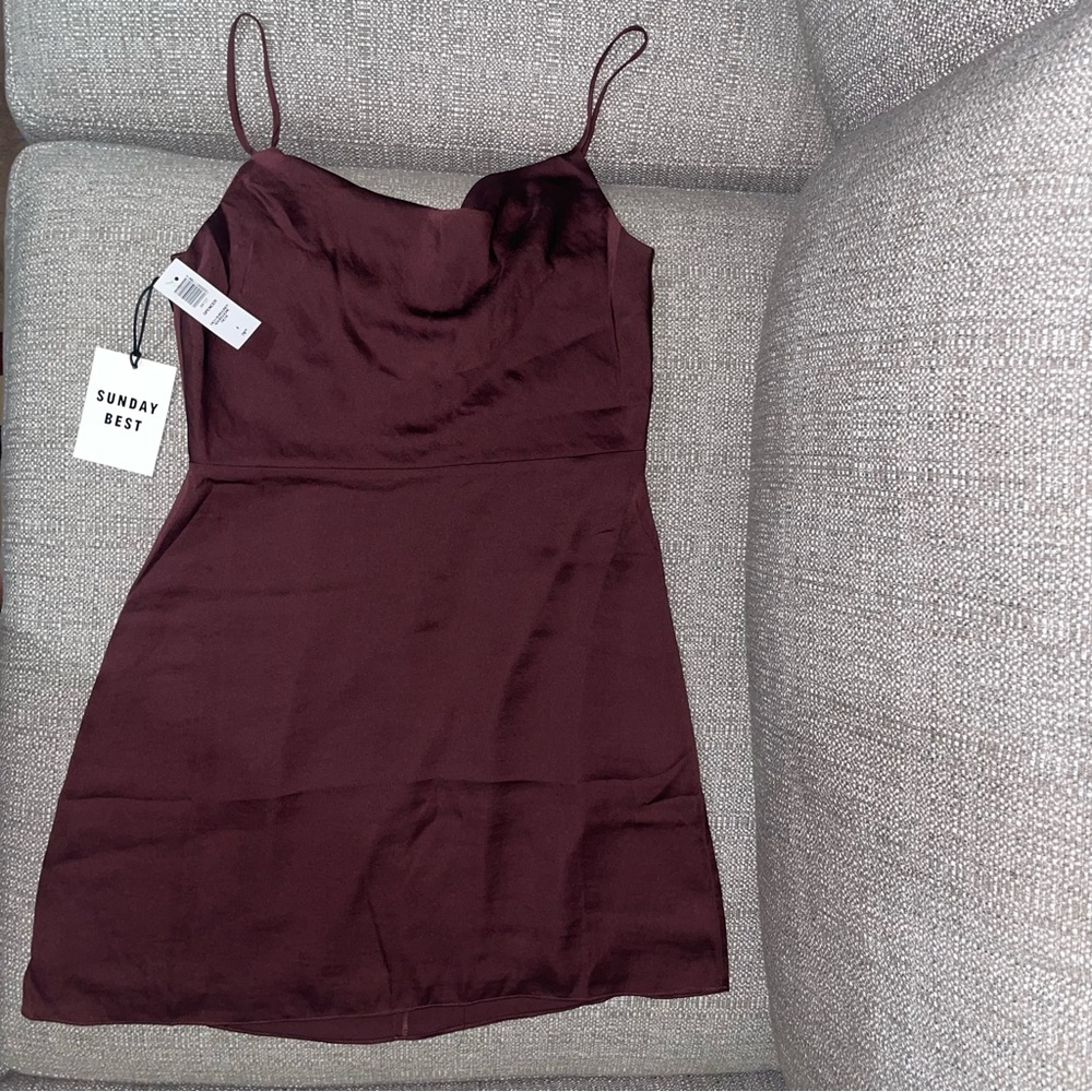 Aritzia Sunday Best Burgundy Mini Dress